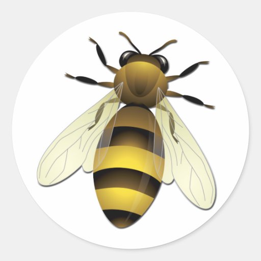 Honey Bee Classic Round Sticker Zazzle