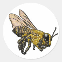 Honey Bee Stickers