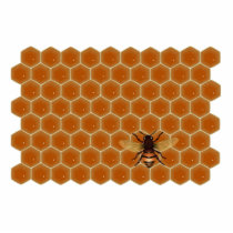 Honey Comb and Bee Photo Cut Out