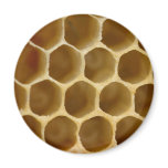 Honey Comb Magnet Honey Comb Magnet