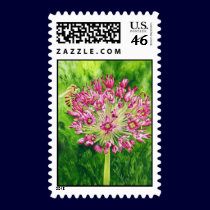 Honey Delight Postage Stamp by artbyjolyn Honey Delight Postage Stamp