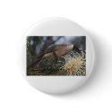 Honey Eater buttons