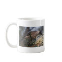 Honey Eater mugs