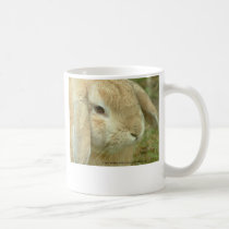 Honey mugs