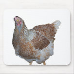 Honey the Blue Laced Wyandotte Hen mousepads