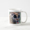 Honey...! The Cats been Drinking Our Coffee Again! mugs by captphrank Honey...! The Cats been Drinking Our Coffee Again! mugs