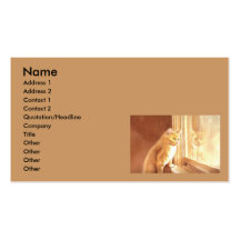 Honey the Kitten Business Cards