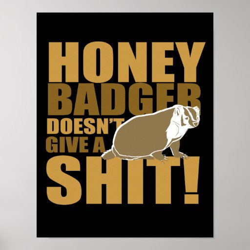 Honeybadger don't care posters