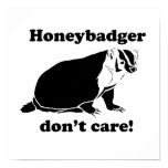 Honeybadger don't care posters