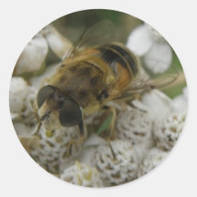 Honeybee and Flowers Sticker