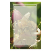Honeybee Blank Stationery