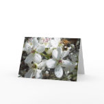 Honeybee Card