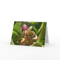 Honeybee Cards by wingedturtle Honeybee Cards