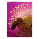 Honeybee Flower Card