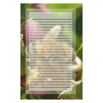 Honeybee Lined Stationery