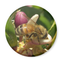 Honeybee Magnets by wingedturtle Honeybee Magnets