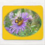 Honeybee on Fall Asters Wildflower Series Mouse Pad