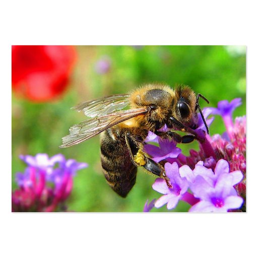 Honeybee on Verbena ATC Business Card Template (front side)