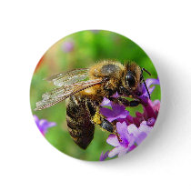 Honeybee on Verbena Pinback Buttons