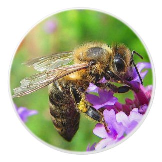 Honeybee on Verbena Ceramic Knob