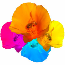 Honeybee Poppy Art 2-Sided Women's Dark Shirts