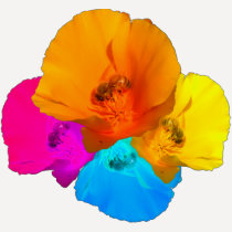 Honeybee Poppy Art 2-Sided Women's Shirts
