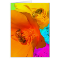 Honeybee Poppy Art Cards