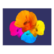 Honeybee Poppy Art Postcard