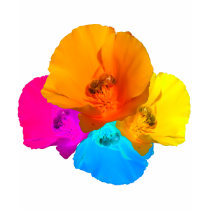 Honeybee Poppy Art Shirts