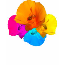 Honeybee Poppy Art Women's Shirts