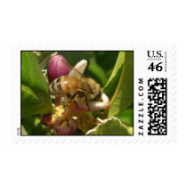 Honeybee Stamp by wingedturtle Honeybee Stamp
