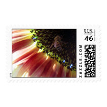 Honeybee Sunflower Stamps