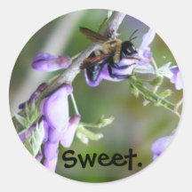 Honeybee-Wisteria sticker #1