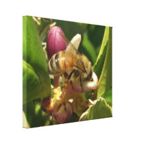Honeybee Wrapped Canvas