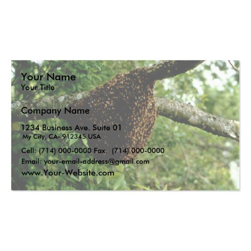 Honeybees Business Card Templates (front side)