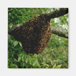 Honeybees Refrigerator Magnet
