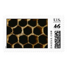 postcard - Honeycomb postcard - Honeycomb