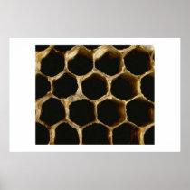 Honeycomb Print