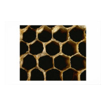Honeycomb posters by muenks3 Honeycomb posters