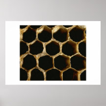 Honeycomb Print