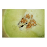 Honeydew Melon on Canvas Print Honeydew Melon on Canvas Print