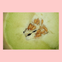 Honeydew Melon on Canvas Print posters