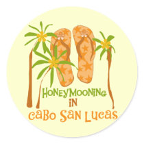 Honeymoon Cabo San Lucas Tshirts and Gifts stickers