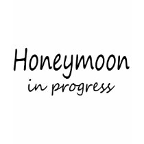 Honeymoon In Progress t-shirts by BacheloretteGirl Honeymoon In Progress t-shirts