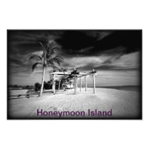 Honeymoon Island Photograph
