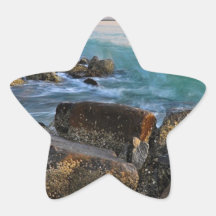 Honeymoon Island Star Stickers