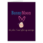 Honeymoon Rabbit Greeting Card