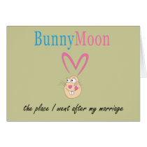 Honeymoon Rabbit Greeting Card