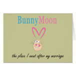Honeymoon Rabbit Greeting Card