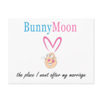 Honeymoon Rabbit Postcards